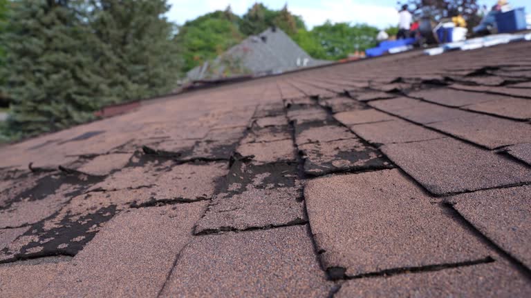 Roof Insulation in Trenton, OH